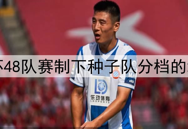 2026年世界杯48队赛制下种子队分档的地理回避原则